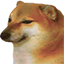 :Memy - Cheems Doge: